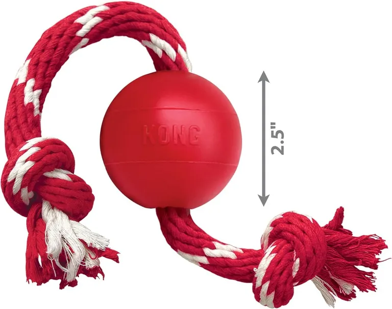 KONG Ball With Rope Dog Toy Small Photo 2