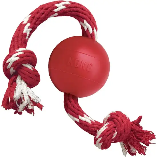 KONG Ball With Rope Dog Toy Small Photo 5