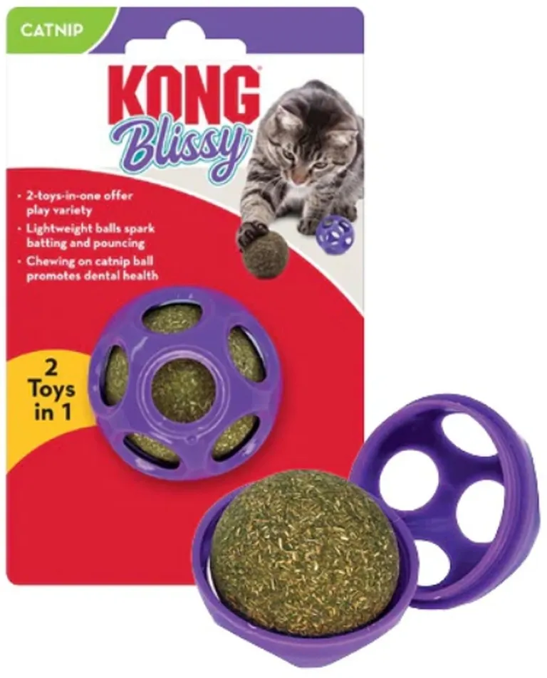 KONG Blissy Moon Catnip Ball Toy for Cats Photo 2