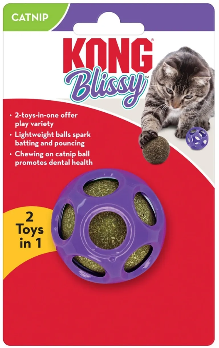 KONG Blissy Moon Catnip Ball Toy for Cats Photo 1