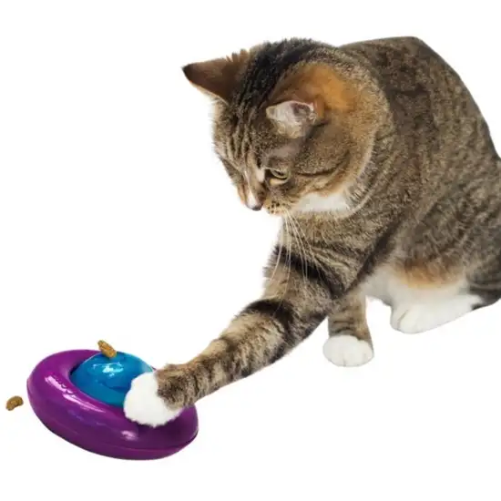 KONG Infused Cat Gyro Toy Photo 2