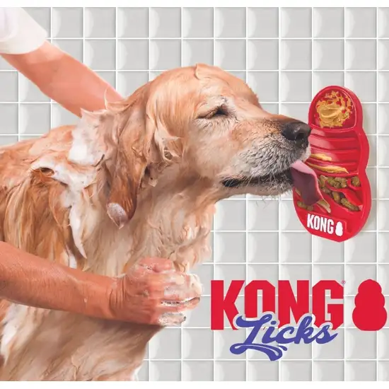 KONG Licks Dog Toy Treat Dispenser Sticks to Any Non-Porous Surface Photo 5