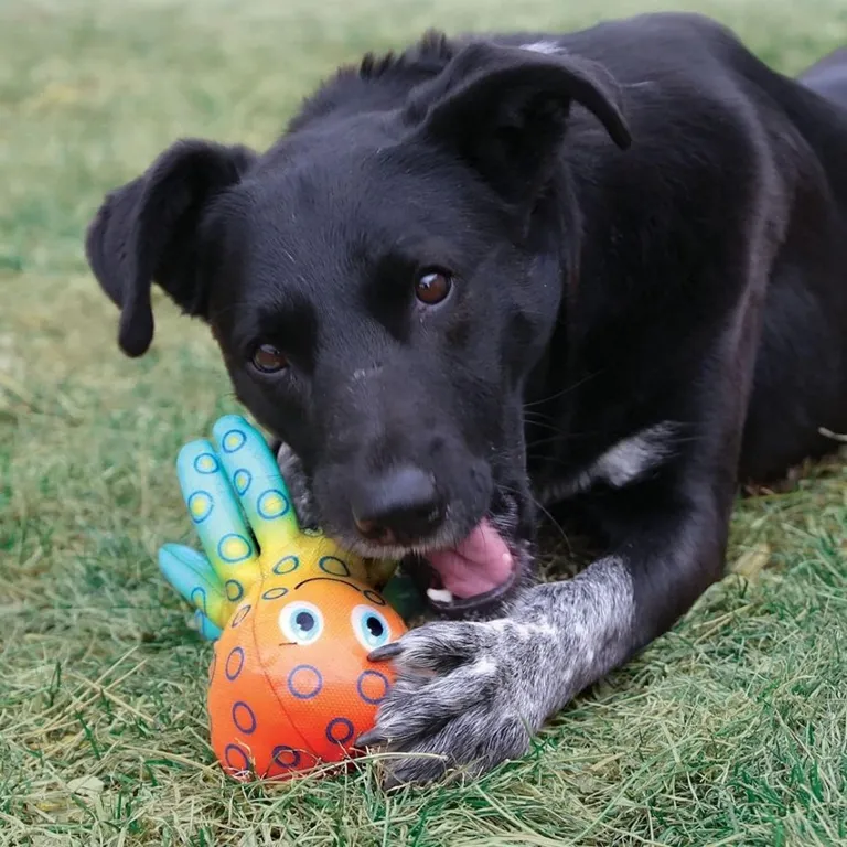 KONG Shieldz Tropics Gecko Dog Toy Medium Photo 2