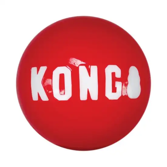 KONG Signature Ball Dog Toy Small Photo 5