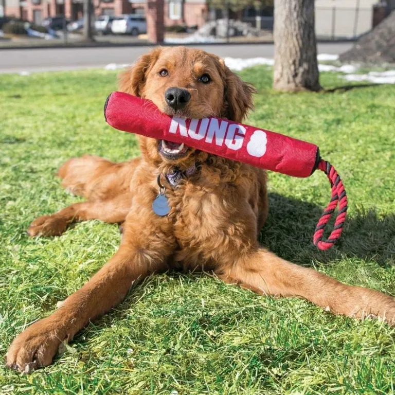 KONG Signature Stick Dog Toy Red Medium Photo 2