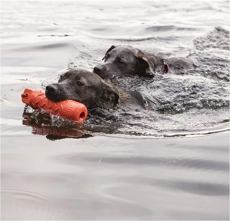 KONG Training Dummy for Dogs Photo 3