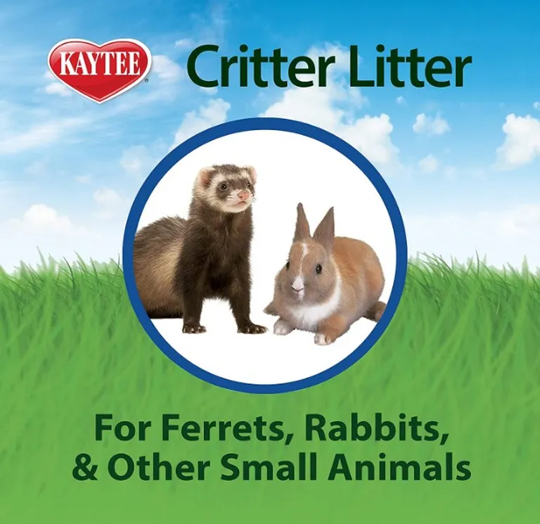 Kaytee Critter Litter Photo 4