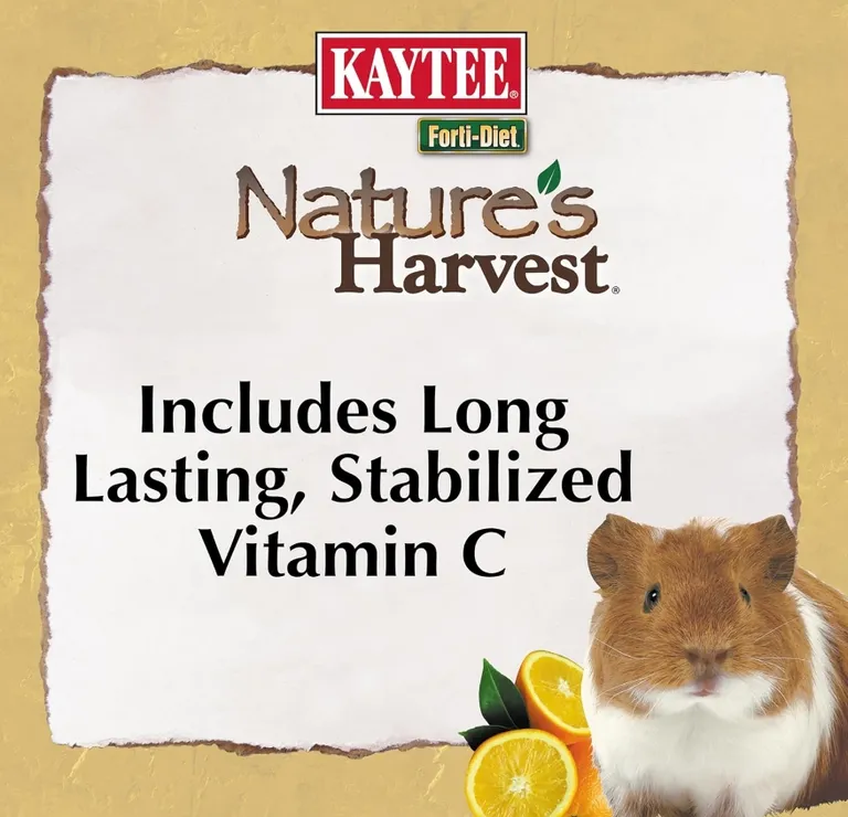 Kaytee Forti Diet Natures Harvest Guinea Pig Food Photo 2