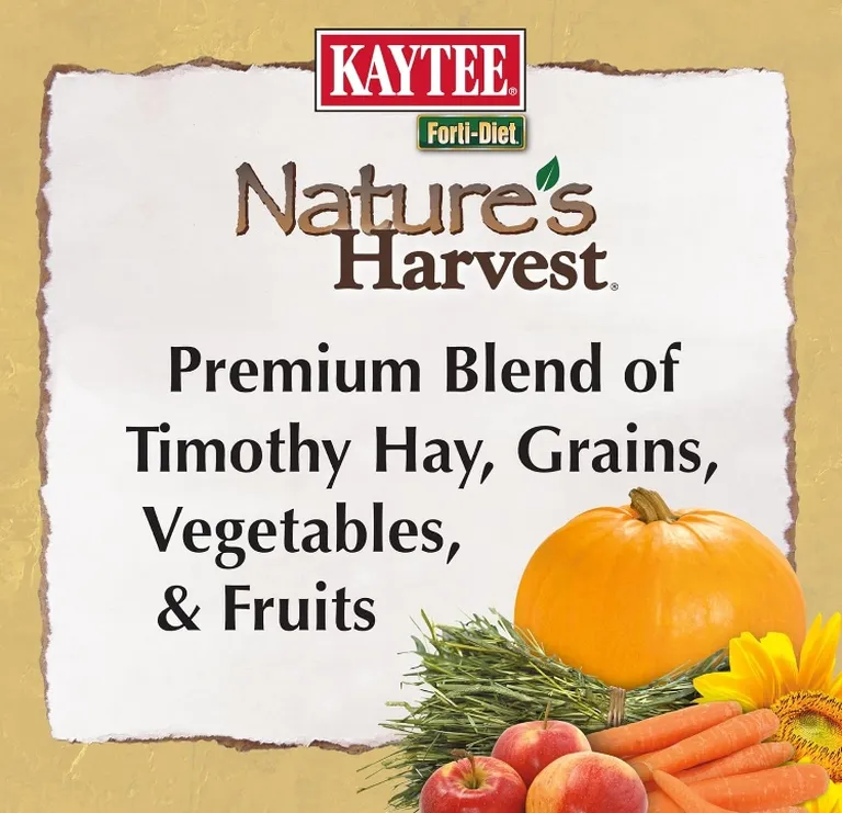 Kaytee Forti Diet Natures Harvest Rabbit Food Photo 4