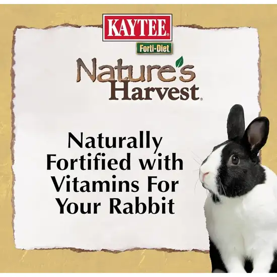 Kaytee Forti Diet Natures Harvest Rabbit Food Photo 5