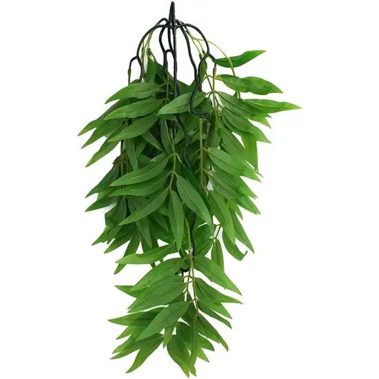 Komodo Bamboo Hanging Vine Terrarium Plant Photo 2