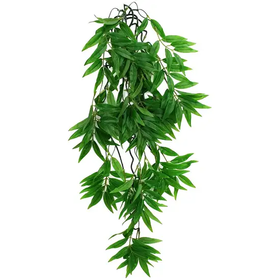 Komodo Bamboo Hanging Vine Terrarium Plant Photo 1