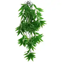 Photo of Komodo Bamboo Hanging Vine Terrarium Plant