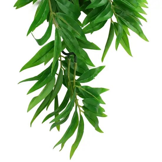 Komodo Bamboo Hanging Vine Terrarium Plant Photo 5