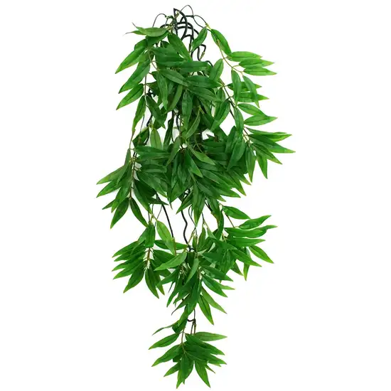 Komodo Bamboo Hanging Vine Terrarium Plant Photo 3