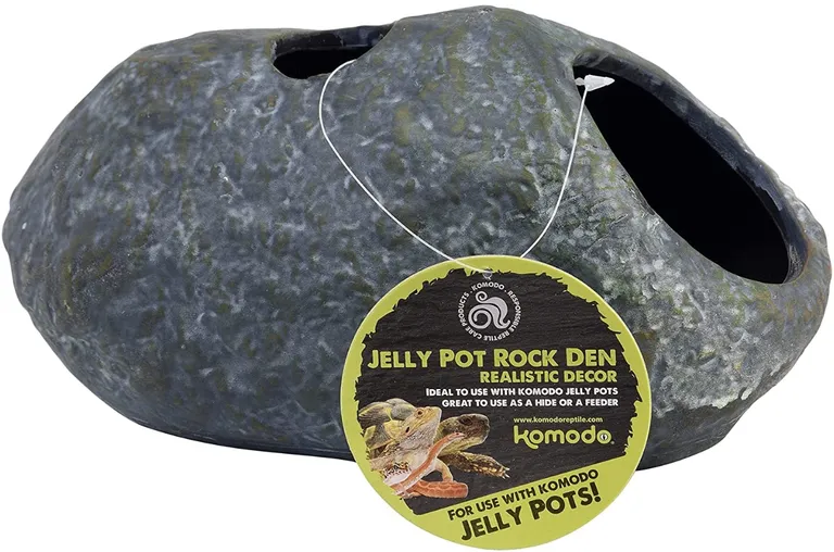 Komodo Jelly Pot Rock Den Photo 1