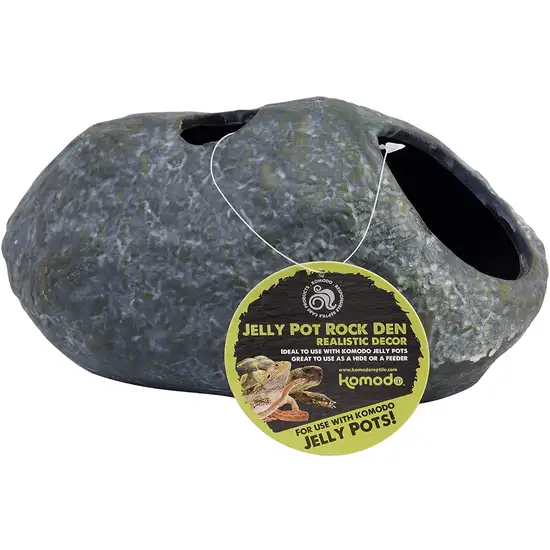 Komodo Jelly Pot Rock Den Photo 1