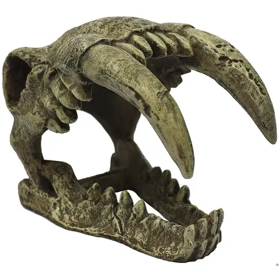 Komodo Saber Tooth Skull Terrarium Decoration Photo 1