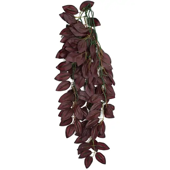 Komodo Zebrina Hanging Vine Terrarium Plant Photo 2