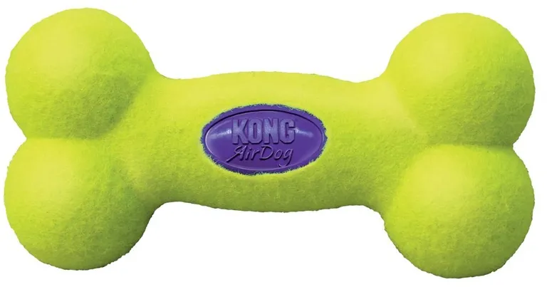 Kong Air Kong Bone Squeaker Photo 2