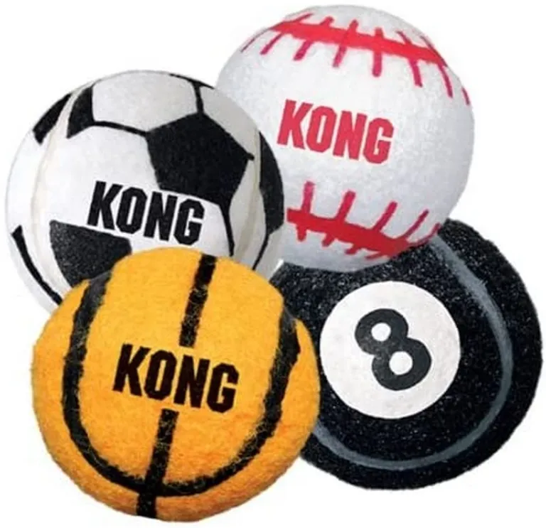 Kong Assorted Sports Balls Set Photo 3