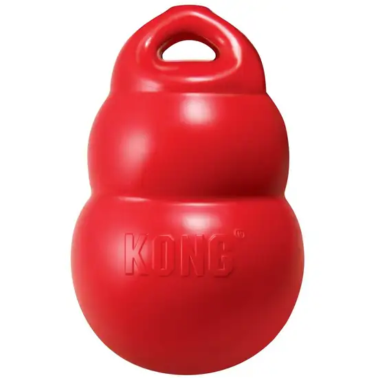 Kong Bounzer - Red Photo 2
