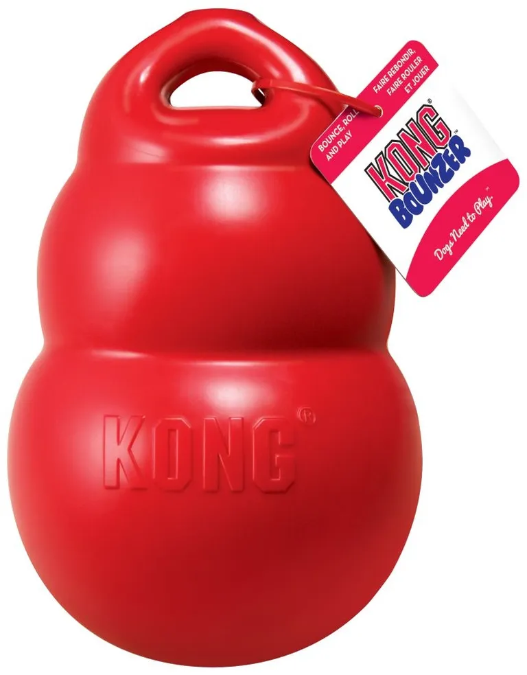 Kong Bounzer - Red Photo 1