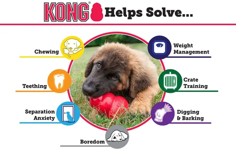 Kong Classic Dog Toy - Red Photo 5