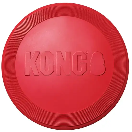 Kong Flyer Dog Disc Photo 2