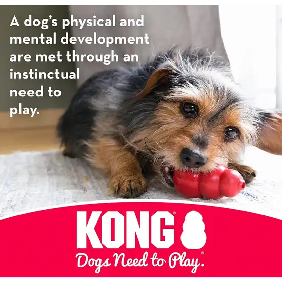 Kong Goodie Bone - Red Photo 6