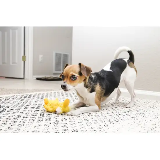 Kong Plush Duckie Dog Toy Photo 3