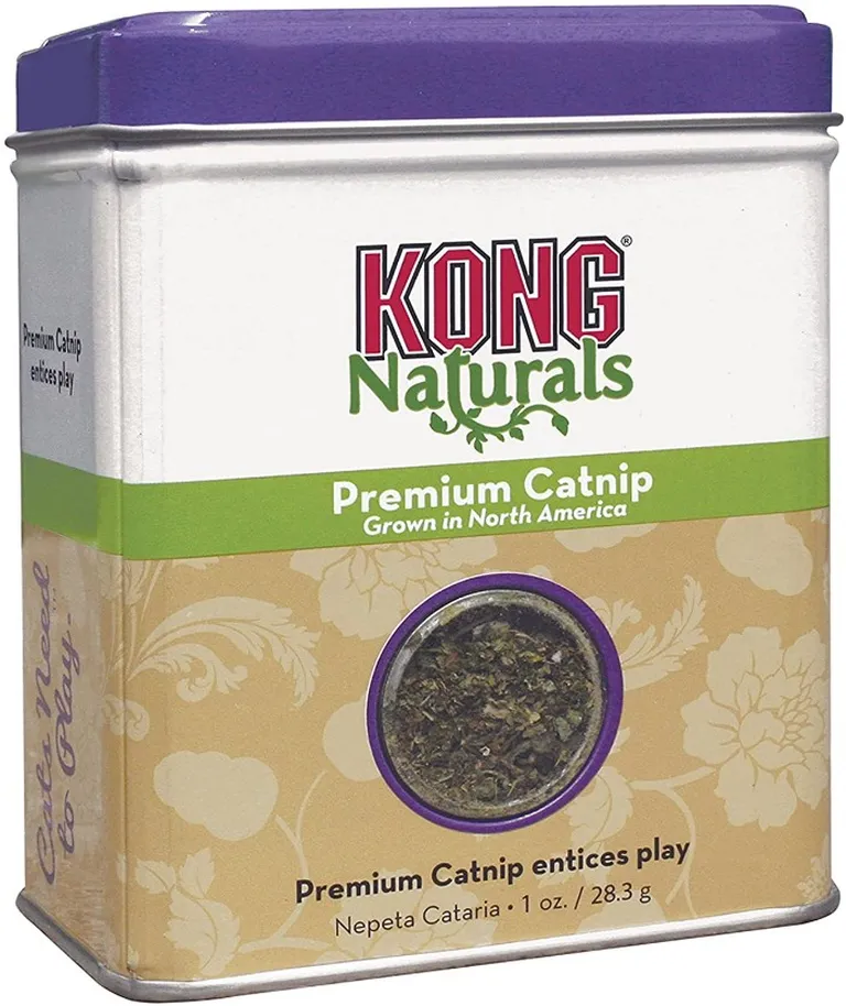 Kong Premium Catnip Photo 1