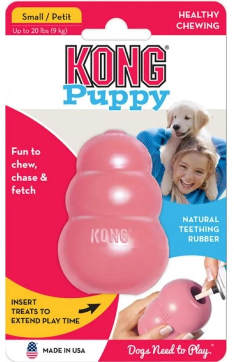 Kong Puppy Kong Photo 1