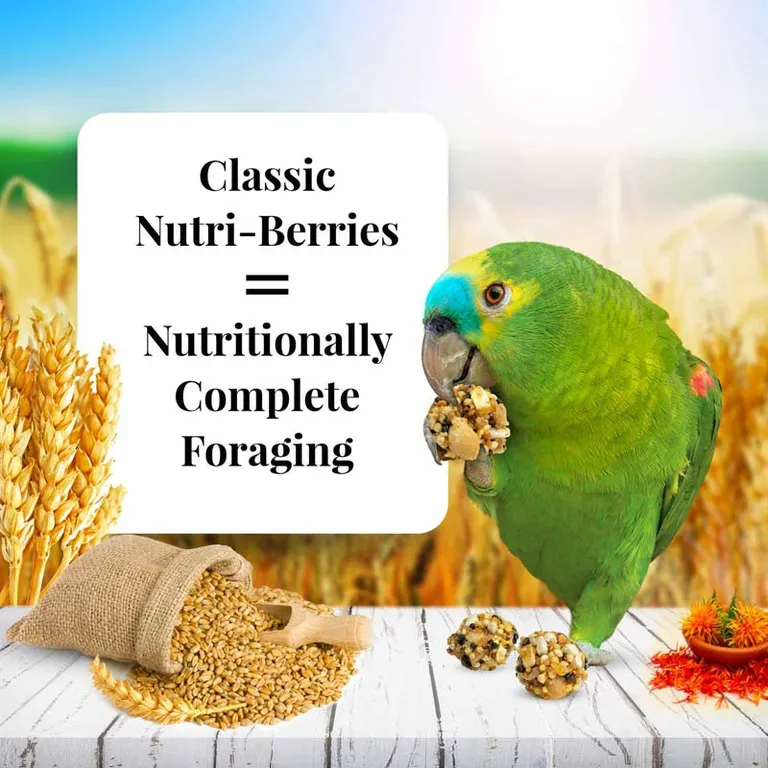 Lafeber Classic Nutri-Berries Parrot Food Photo 4