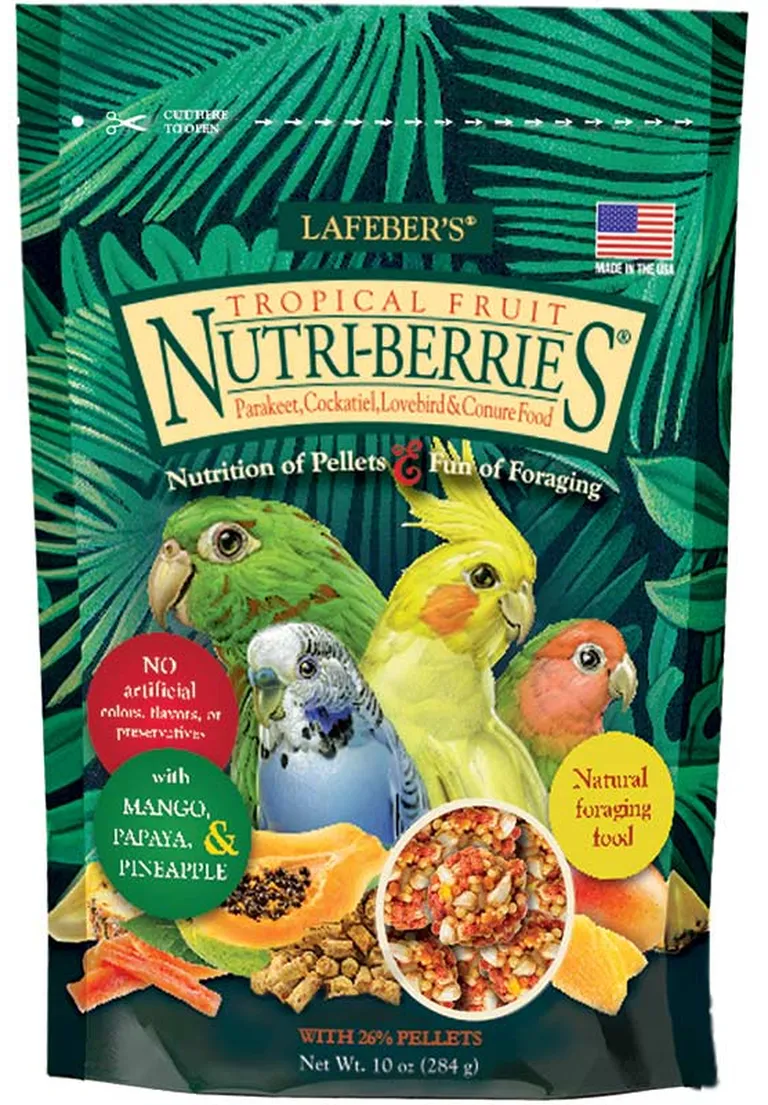 Lafeber Tropical Fruit Nutri-Berries Parakeet, Cockatiel & Conure Food Photo 1