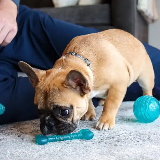 Lil Pals Antimicrobial Teething Ring Photo 6