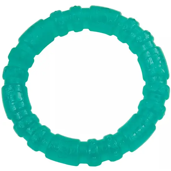 Lil Pals Antimicrobial Teething Ring Photo 1