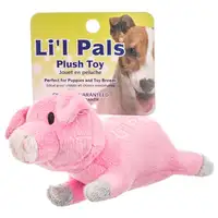 Photo of Lil Pals Ultra Soft Plush Dog Toy - Pig