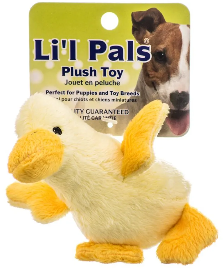 Lil Pals Ultra Soft Plush Duck Dog Toy Photo 1