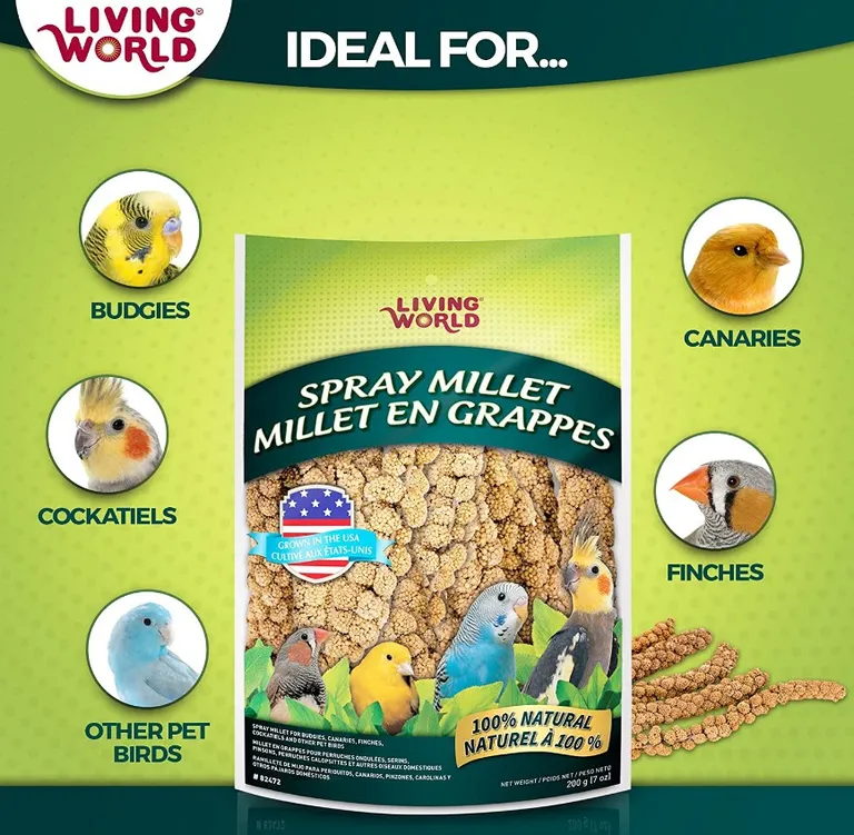 Living World Spray Millet Photo 4