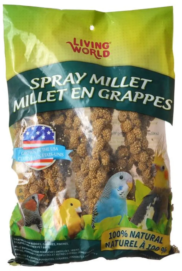 Living World Spray Millet Photo 1