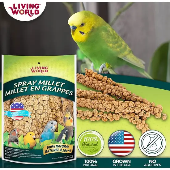 Living World Spray Millet Photo 4