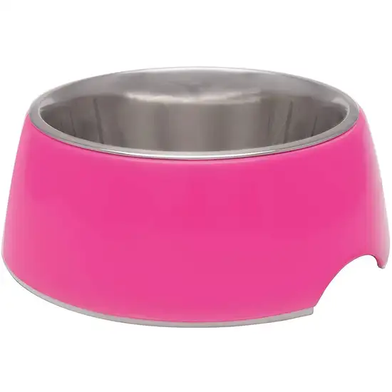 Loving Pets Hot Pink Retro Bowl Photo 1