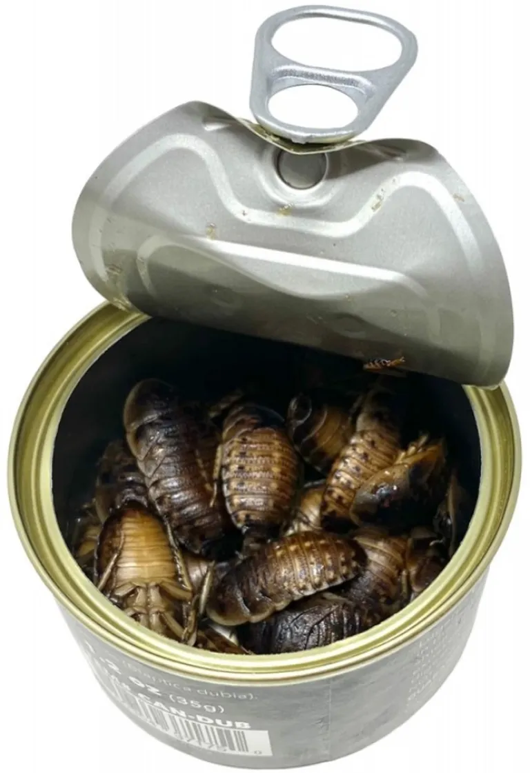 Lugarti Canned Dubia Roaches Treat for Insectivores Photo 2