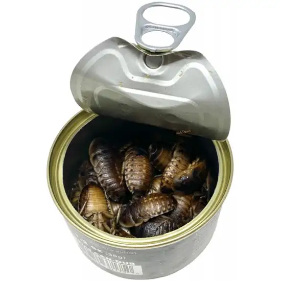 Lugarti Canned Dubia Roaches Treat for Insectivores Photo 2