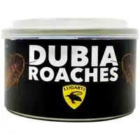 Photo of Lugarti Canned Dubia Roaches Treat for Insectivores