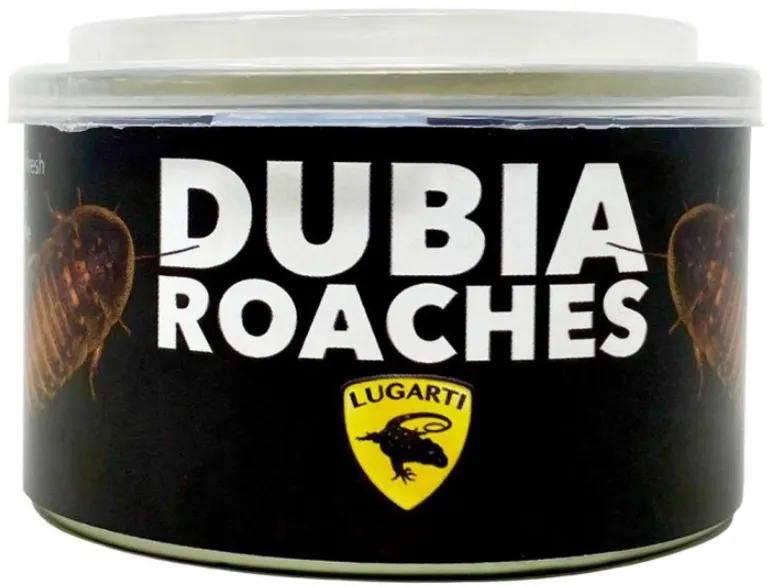 Lugarti Canned Dubia Roaches Treat for Insectivores Photo 1