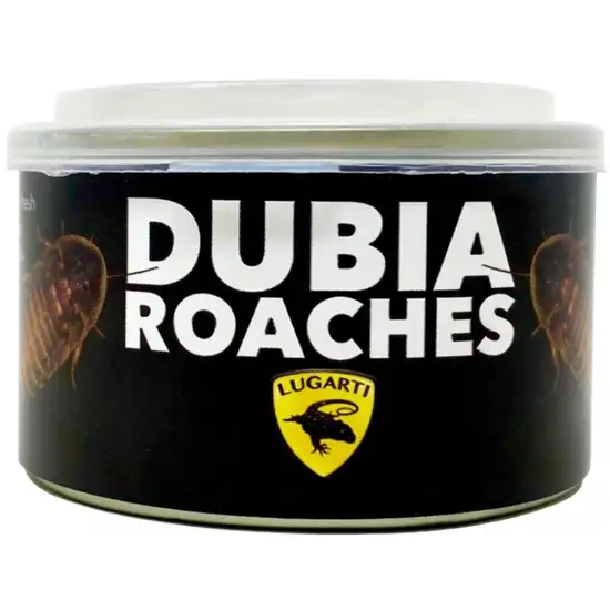 Lugarti Canned Dubia Roaches Treat for Insectivores Photo 1