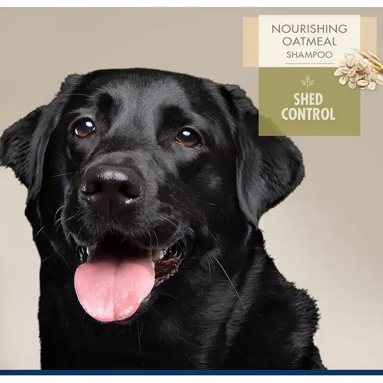 Magic Coat Professional Series Nourishing Oatmeal Shed Control Dog Shampoo Photo 3