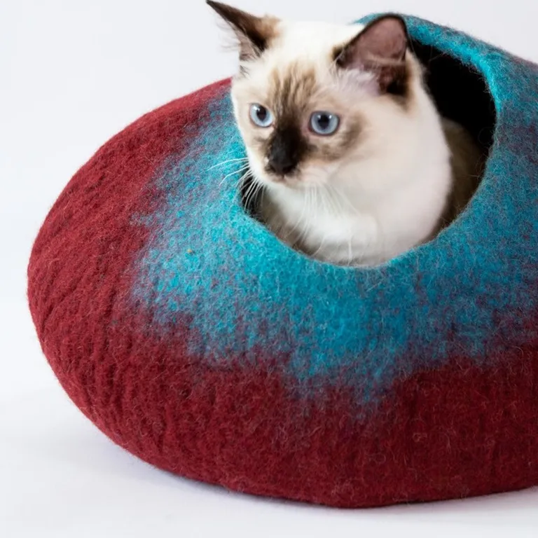 Maroon and Teal Cat Cave Bed Photo 4